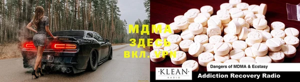 прущие грибы Нефтекумск