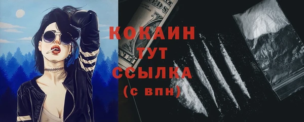 прущие грибы Нефтекумск