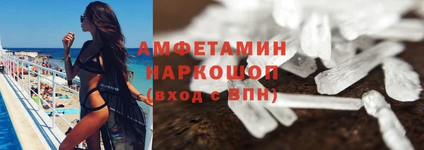 прущие грибы Нефтекумск