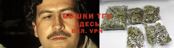 прущие грибы Нефтекумск