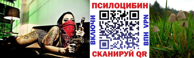 Галлюциногенные грибы Psilocybe  МЕГА tor  Кострома 