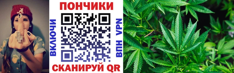 MEGA зеркало  как найти закладки  Кострома  Каннабис планчик 
